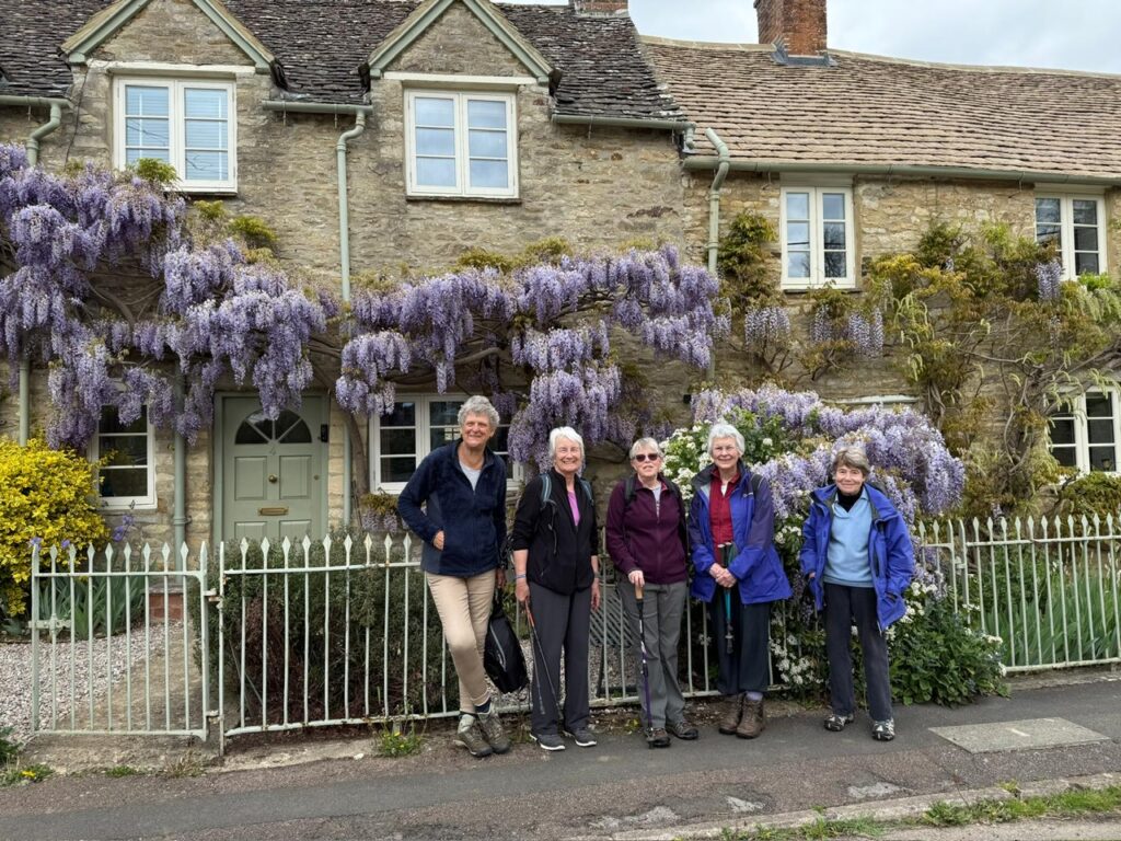 Recent walks - group photos