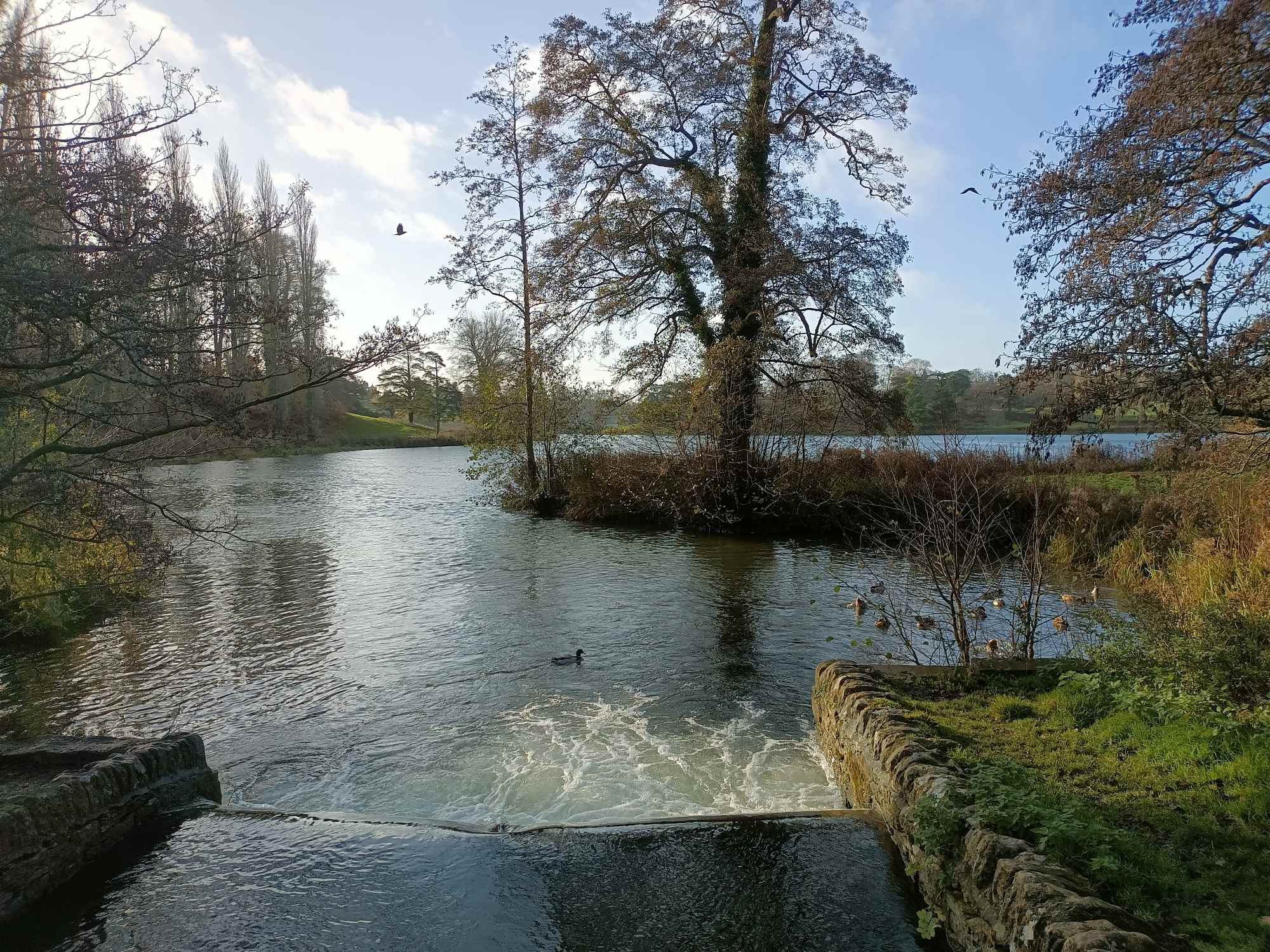 The river Glyne enters the lake - bright sunshine, lake, trees;