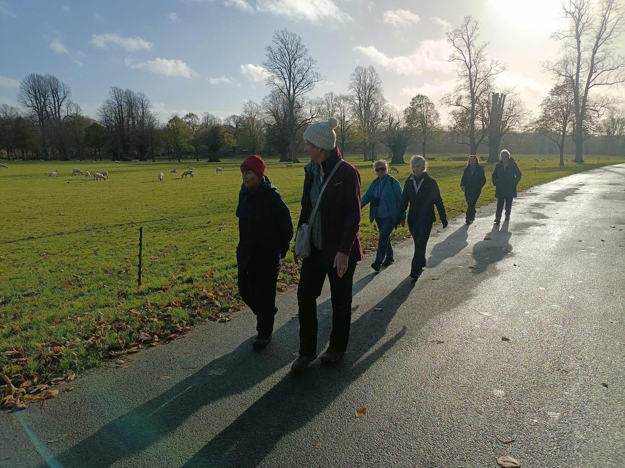 6 of the group walking on the path; sheep in the background, bright sunshime