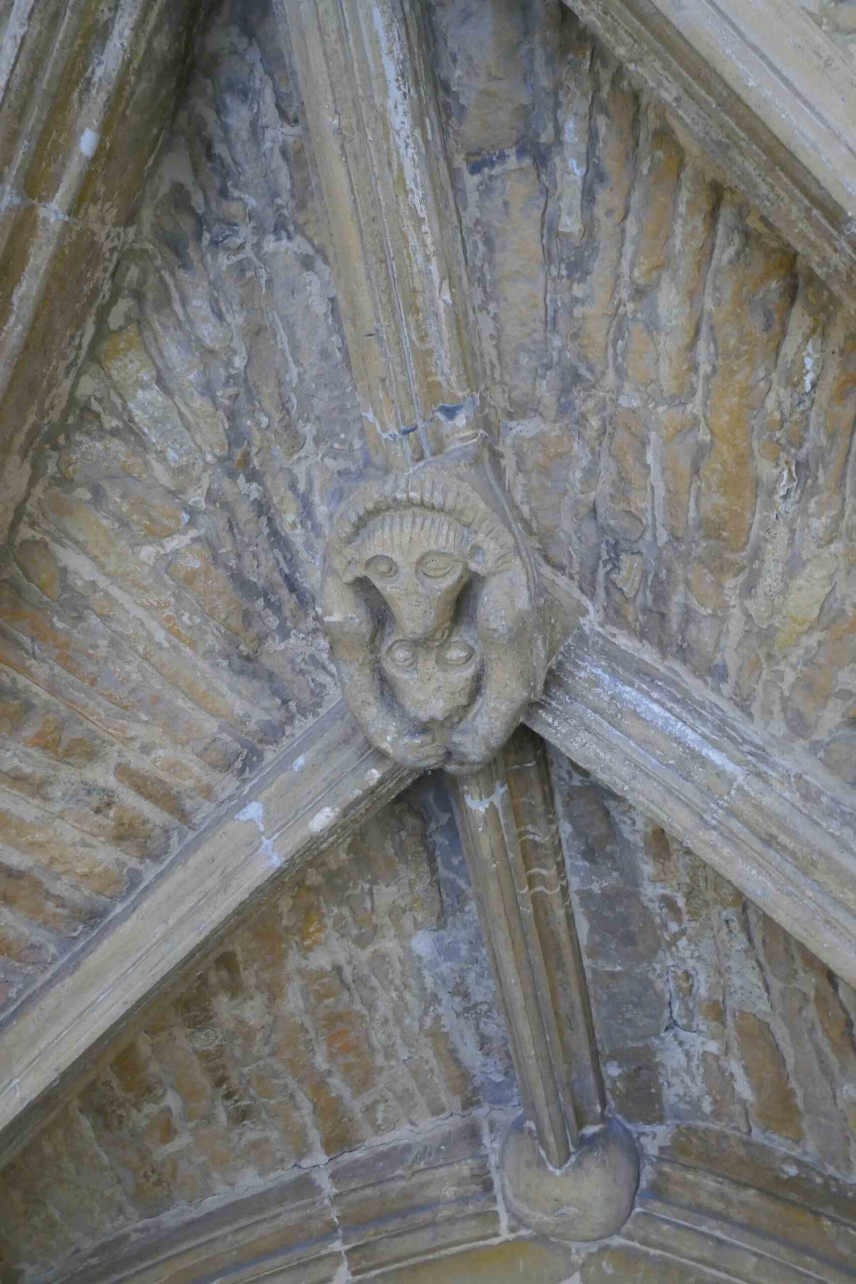 One of the bosses in the Porch, possibly a Medieaval joke, with a Lamb attacking a wolf